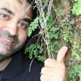 Domenico Saulle, studente dell'Universit� di Bari appassionato di piante carnivore, posa accanto alle piantine di pinguicula hirtiflora sopravvissute in un dirupo a Rossano Calabro
